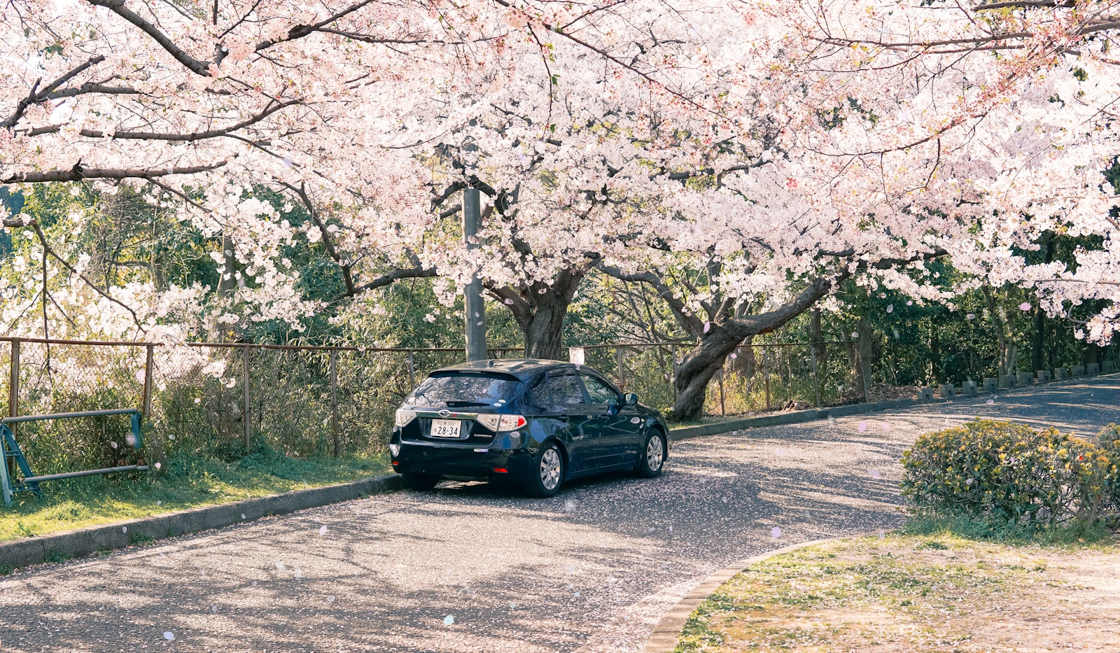 black car parked near trees during daytime